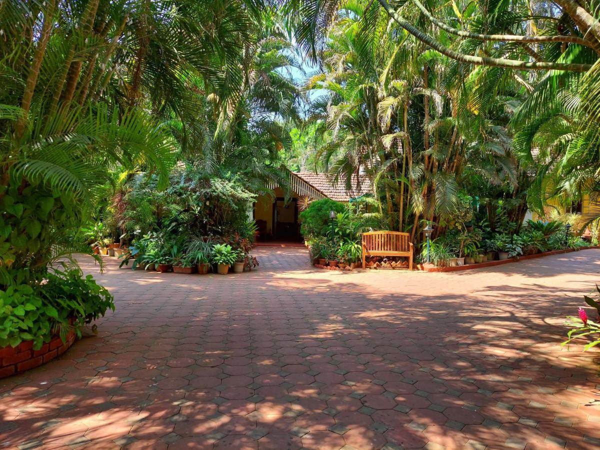 Palm Grove Cottages - Leisure Resort Бенаулім Екстер'єр фото