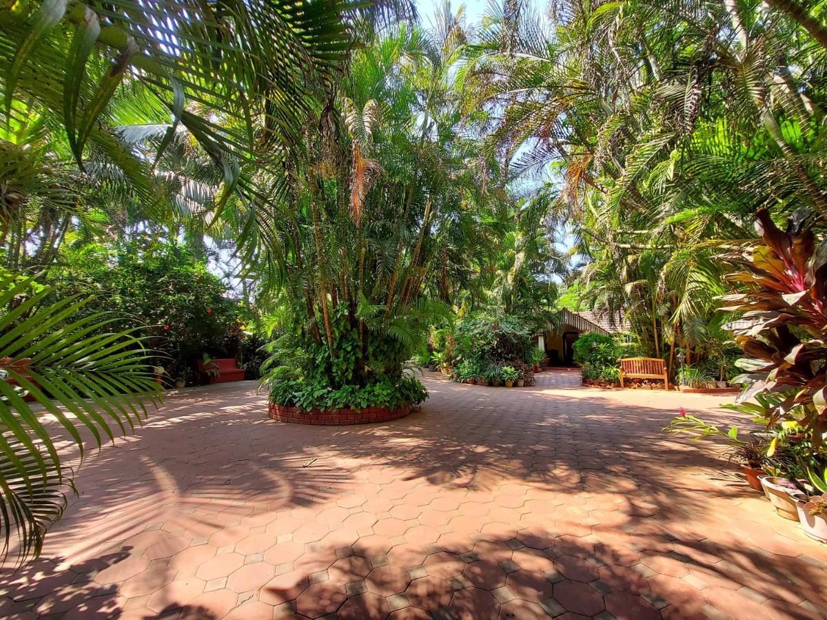 Palm Grove Cottages - Leisure Resort Бенаулім Екстер'єр фото
