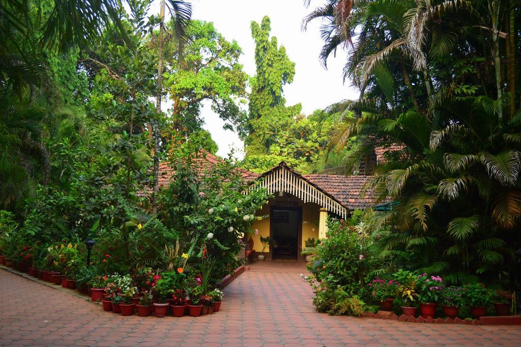 Palm Grove Cottages - Leisure Resort Бенаулім Екстер'єр фото