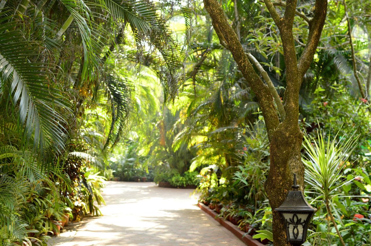 Palm Grove Cottages - Leisure Resort Бенаулім Екстер'єр фото